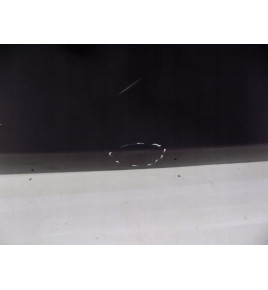 BMW 1 E87- Porta anteriore - Lato Destro - 0064